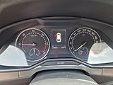 Škoda Superb 2,0TDI 110KW NAVI VÝHŘEV  - náhled 14