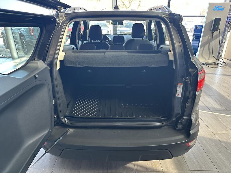 Ford EcoSport Ultimate 1.0 EcoBoost 125k man - fotka 8 z 19