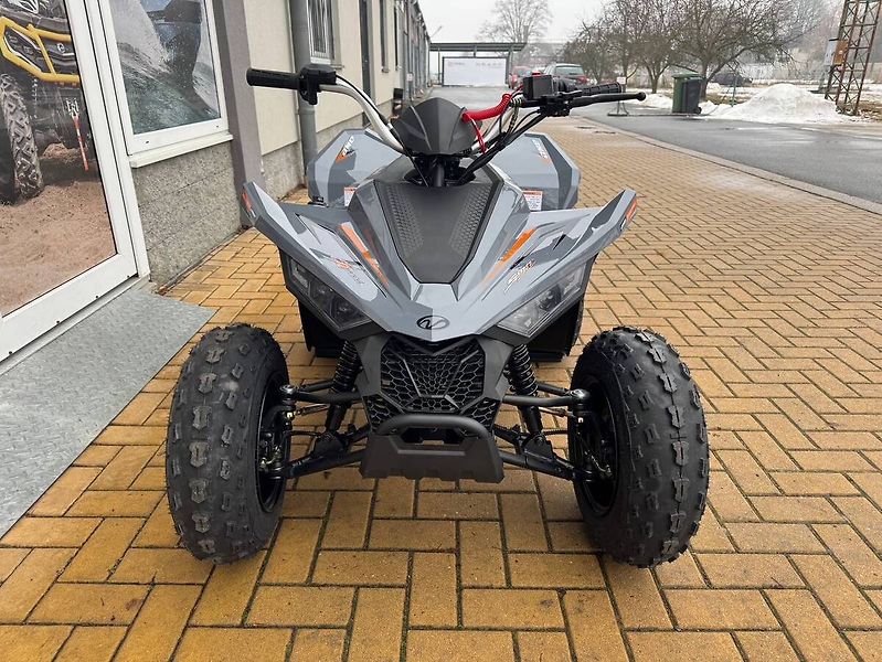 Linhai (2026) ATV 110 - fotka 2 z 3