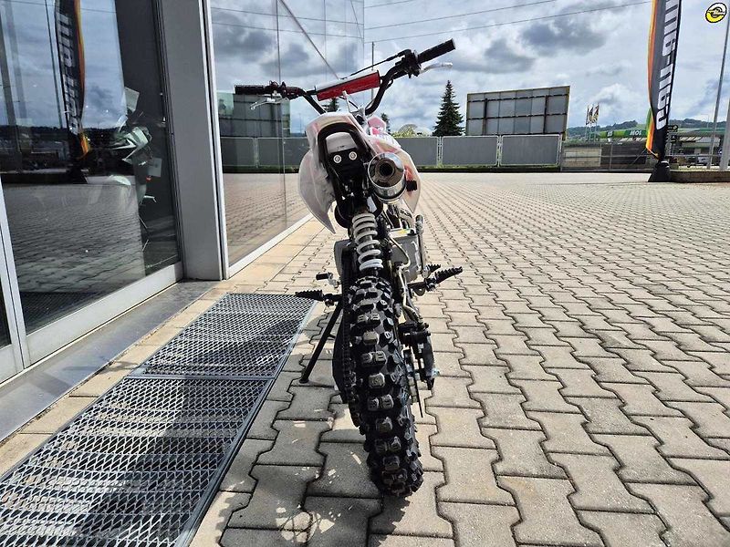Ostatní (2026) WPB Boyo 110 - fotka 5 z 17