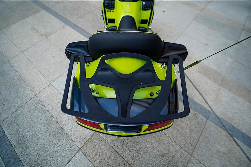 Honda GL 1800 Gold Wing Mamba Green - fotka 12 z 47