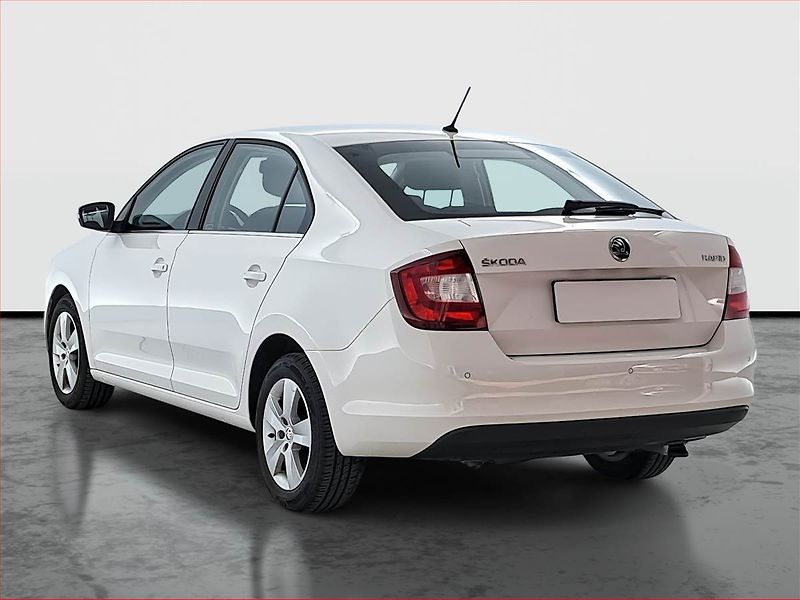 Škoda Rapid (2018) 1.4 TDI, Tempomat - fotka 4 z 15
