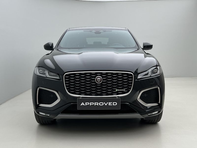 Jaguar F-Pace D200 R-DYNAMIC SE AWD AUT  - fotka 13 z 49