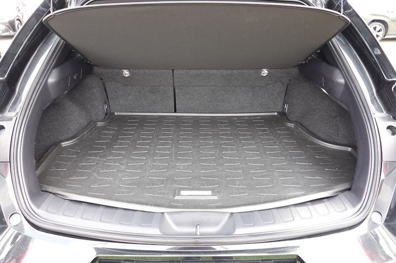 Lexus UX 300h UX300h 2,0 HEV Business Tech - fotka 15 z 34