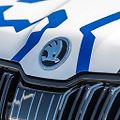 Škoda Kodiaq RS na Nürburgringu.