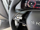 Škoda Karoq DSG 1,5TSi 110kW SportLine - náhled 19