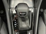 Škoda Karoq 2.0 TDI 4x4 Top selection - náhled 19