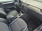 Škoda Octavia (2017) 2.0 TDI DSG, Navi - náhled 18