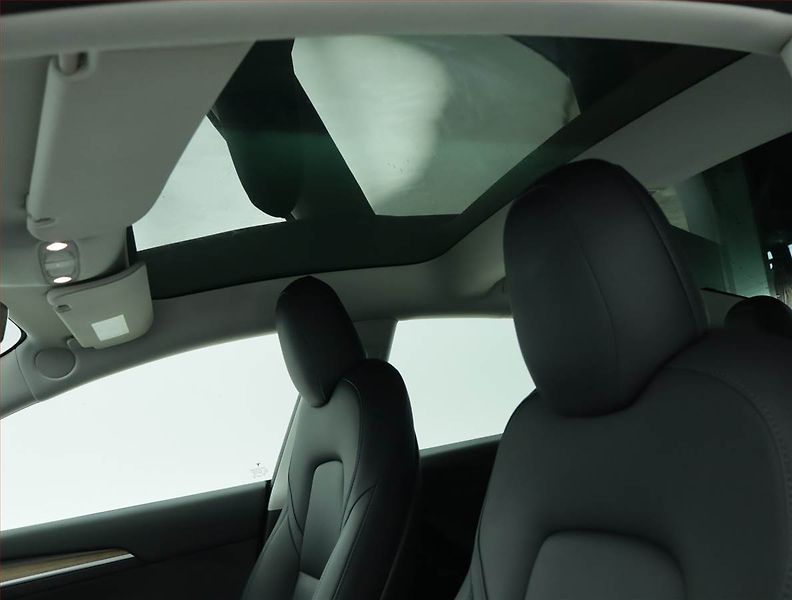 Tesla Model 3 (2021) Std Range Plus LFP, SoH 92% - fotka 19 z 21