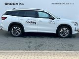 Škoda Kodiaq (2026) Sportline 2.0 TDI 110 kW DSG - náhled 8