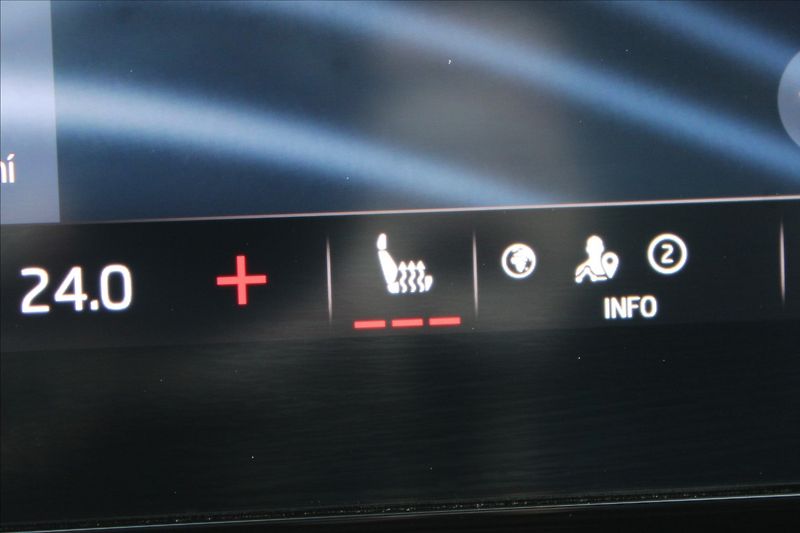 Škoda Octavia 2,0 TDI  RS,AUTOMAT,4x4,120LET - fotka 22 z 46
