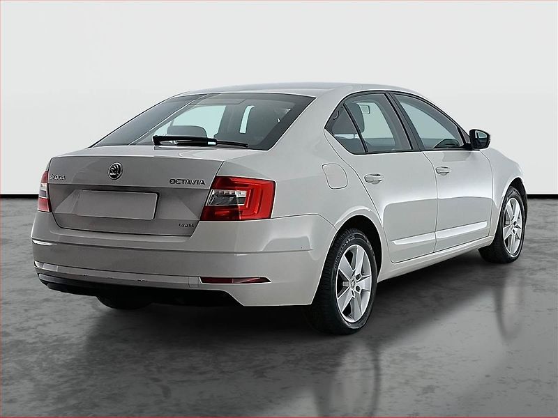 Škoda Octavia (2017) 2.0 TDI, 4X4 - fotka 5 z 15