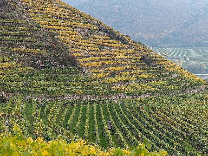 Jedno z nádherných městeček v údolí Wachau – Dürnstein.