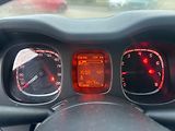 Fiat Panda (2023) 1.0 Hybrid 70cv MAN CROSS - náhled 12