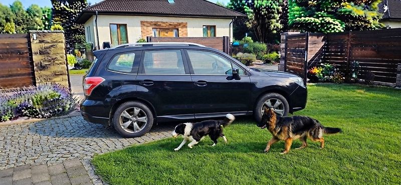 Subaru Forester 2.0 benzin 110 kw 4x4 - fotka 22 z 43