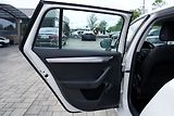 Škoda Octavia III  2.0TDi 135 kW DSG 4x4 ČR - náhled 14