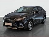 Lexus RX 400h (2022) 300 AWD - náhled 1