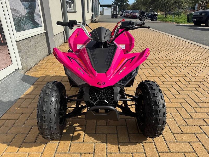 Linhai (2026) ATV 110 - fotka 5 z 6
