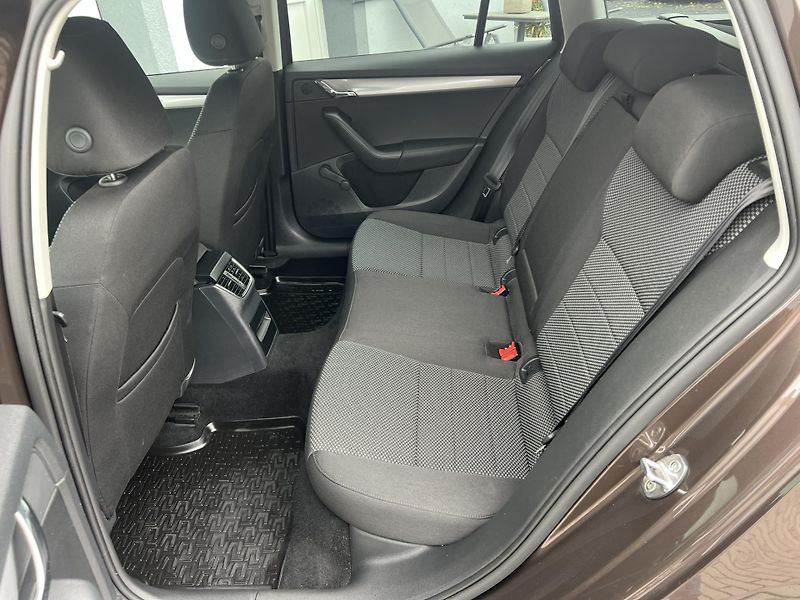 Škoda Octavia (2016) 2.0 TDI 110KW ČR NOVÉ  - fotka 7 z 14