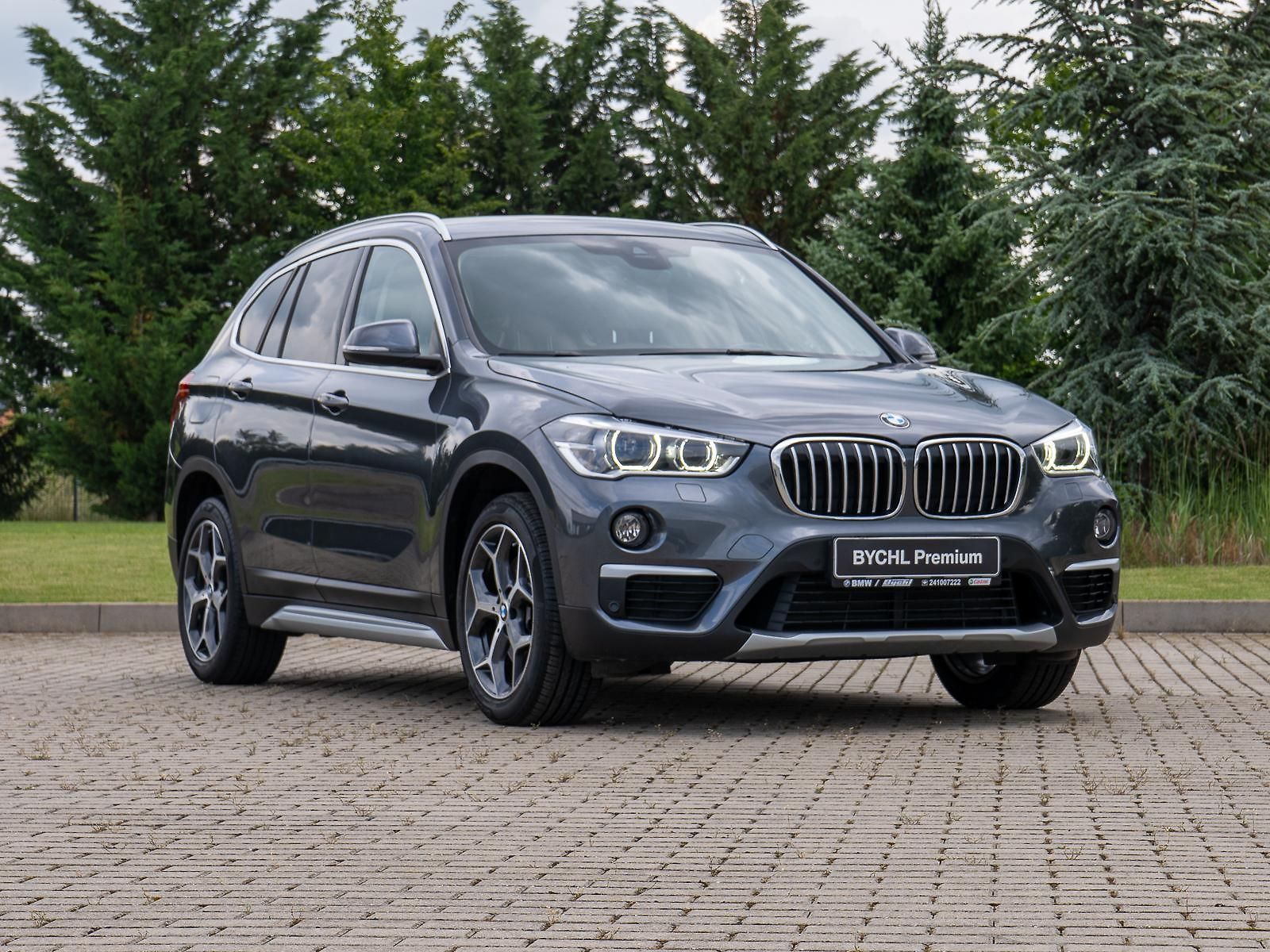 BMW X1 xDrive25d (F48) Model xLine