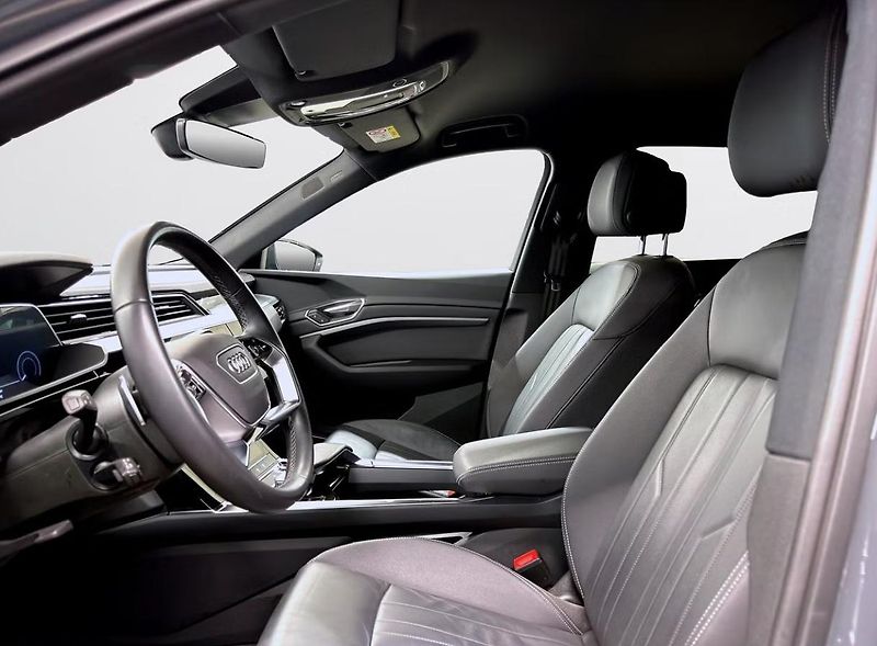 Audi Q8 e-tron 50 Q Kamera Tažné Ambient B&O - fotka 10 z 13