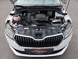 Škoda Fabia 1,0 TSi,70kW,1majČR,Serv.k,DPH - náhled 20
