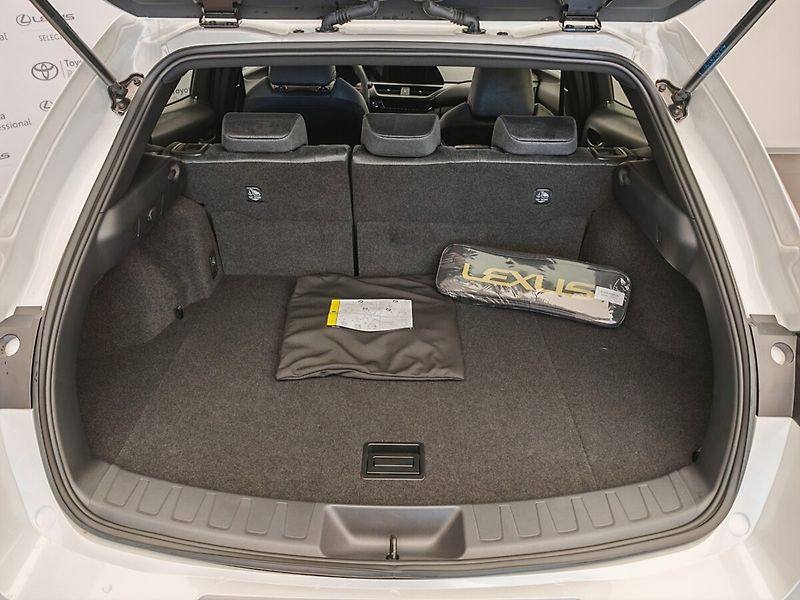 Lexus UX 300h Business TECH - fotka 9 z 36