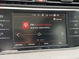 Citroën Grand C4 SpaceTourer (2020) 1.5 HDi, Shine, AT, panor - náhled 15
