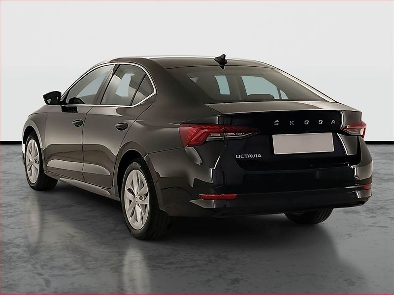 Škoda Octavia (2023) 2.0 TDI - fotka 4 z 23