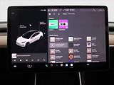 Tesla Model 3 (2020) Std Range Plus 52kWh, SoH 84% - náhled 12