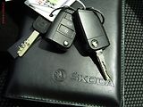 Škoda Octavia (2014) 1.6TDi, ČR, Ambiente, TZ - náhled 15
