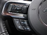 Ford Mustang 5,0 5.0 TI-VCT 324kW V8 GT CZ - náhled 18