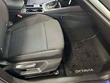 Škoda Octavia (2022) 2.0 TDI 85kW Ambition - náhled 12