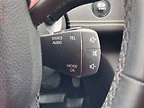 Renault Grand Scénic (2019) 1.8dCi, ČR, AT, LED, kamera - náhled 13