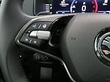 Škoda Karoq - náhled 17