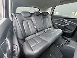 Audi e-tron (2020) Quattro 230kW Advanced, PANO - náhled 19