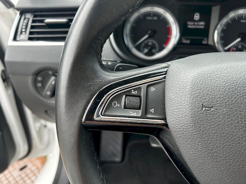 Škoda Octavia (2019) Combi 1.5 TSI 96kW Plyn (CNG) - fotka 9 z 30