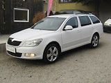 Škoda Octavia (2009) 2.0 TDI 103kW 4X4 - náhled 1