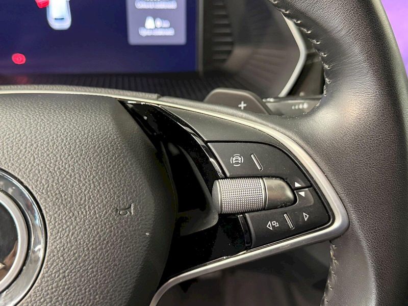 Škoda Octavia (2024) SELECTION PREMIUM EDITION 2.0T - fotka 16 z 32