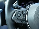 Toyota RAV4 2,5 Hybrid,1.maj,ČR,tažné - náhled 21