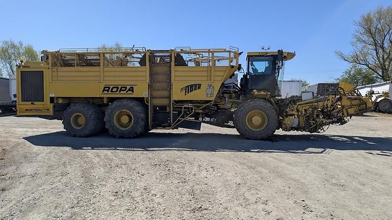 Ostatní (2012) ROPA TIGER V8-3 beet harvester - fotka 6 z 22