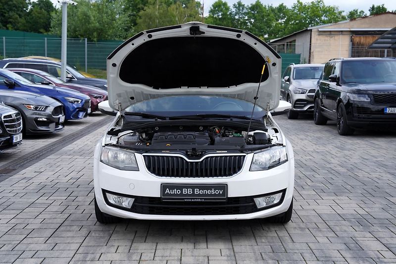 Škoda Octavia III  2.0TDi 135 kW DSG 4x4 ČR - fotka 9 z 41