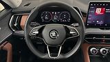 Škoda Kodiaq 2.0 TDI DSG 4x4 Exclusive Sele - náhled 9
