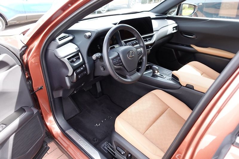 Lexus UX 300h UX300h Luxury 4x4 - fotka 12 z 38