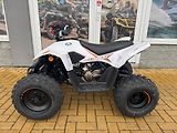 Linhai (2026) ATV 110 - náhled 6