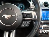 Ford Mustang (2019) 5.0 GT Premium Convertible - náhled 18