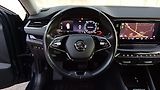 Škoda Octavia TDI 110kW DSG 4x4-1.maj-ČR-TZ- - náhled 25