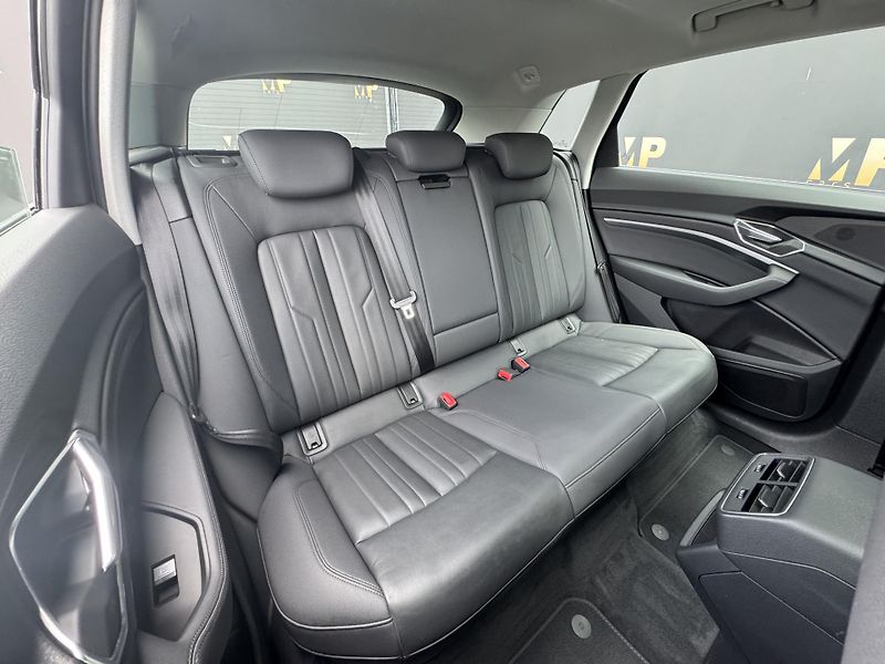 Audi e-tron (2020) Quattro 230kW Advanced, PANO - fotka 19 z 54