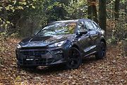 Cupra Terramar 2.0 TSI.