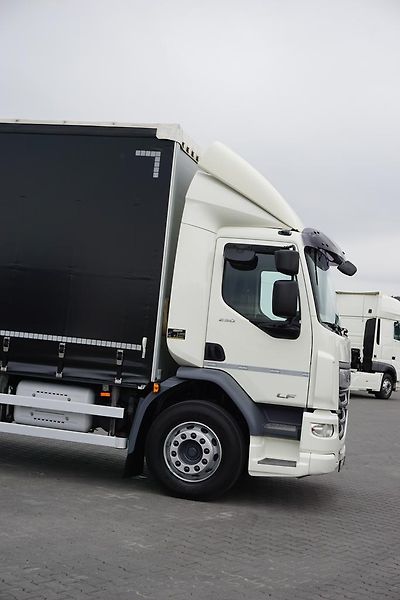 DAF LF (2019) 290 / E 6 / FIRANKA + WINDA /  - fotka 29 z 44